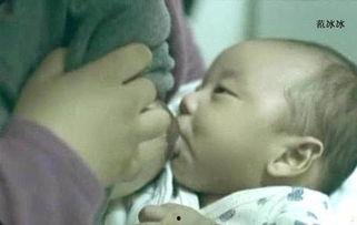 亚洲哺乳图片视频,自然画卷中的珍稀生灵