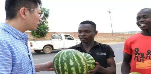 kk表示不服黑料吃瓜 kk表示不服黑料吃瓜